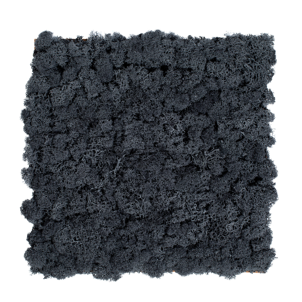 TXB-0801 Mousse – anthracite