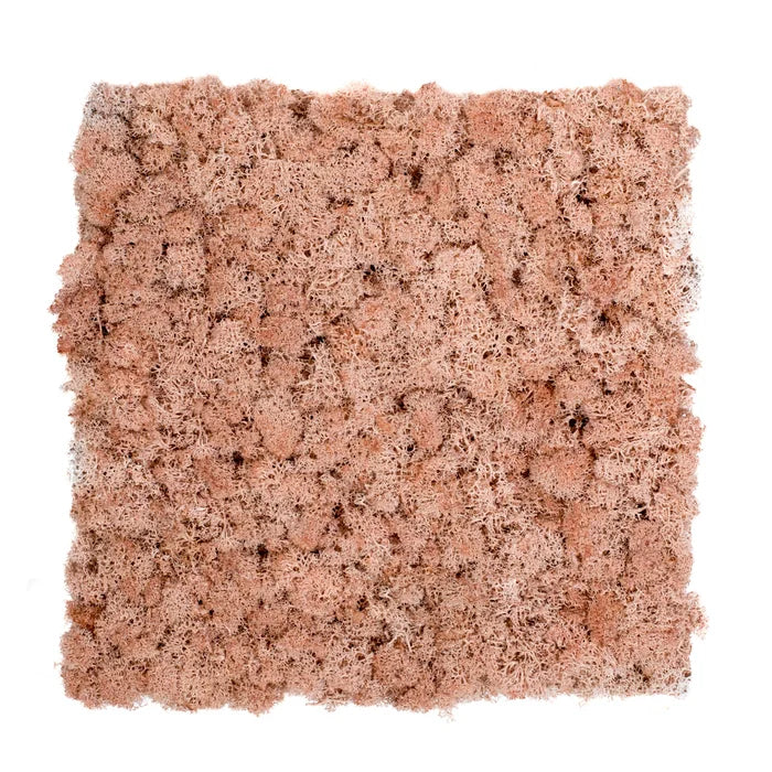 Fotografia del pannello in lichene rosa, con la sua texture naturale