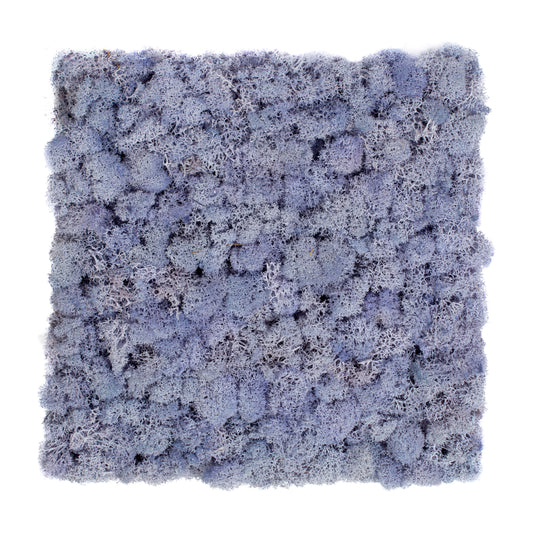 TXB-0418 Graues Moos