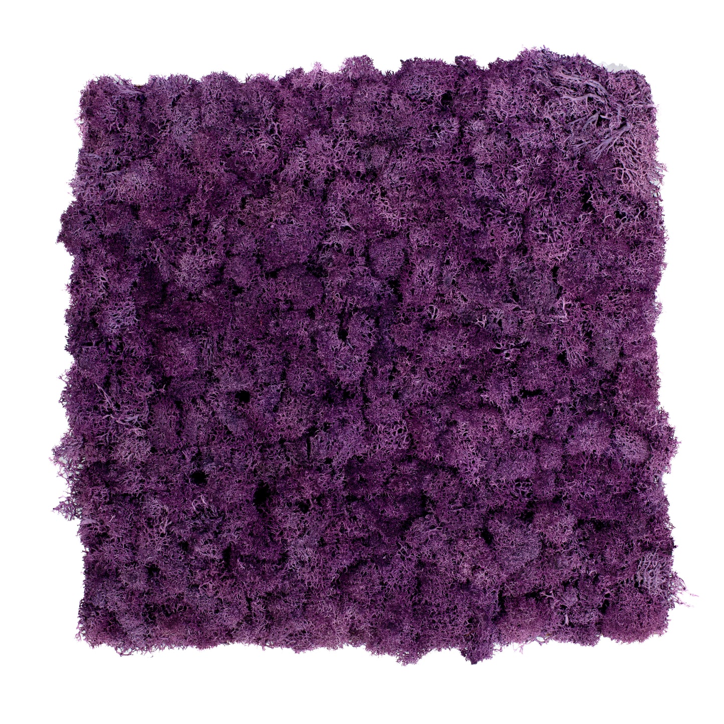 TXB-0403 Tiefviolettes Moos