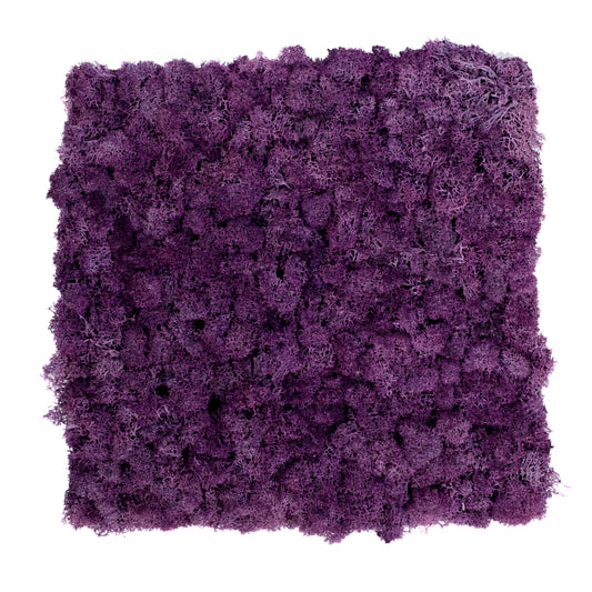 TXB-0403 Tiefviolettes Moos