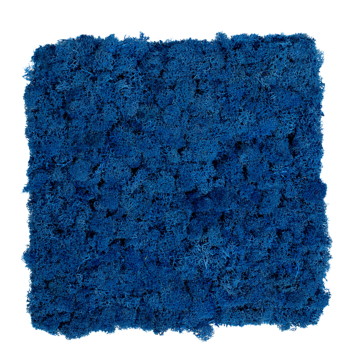TXB-0704 Moos – Blau