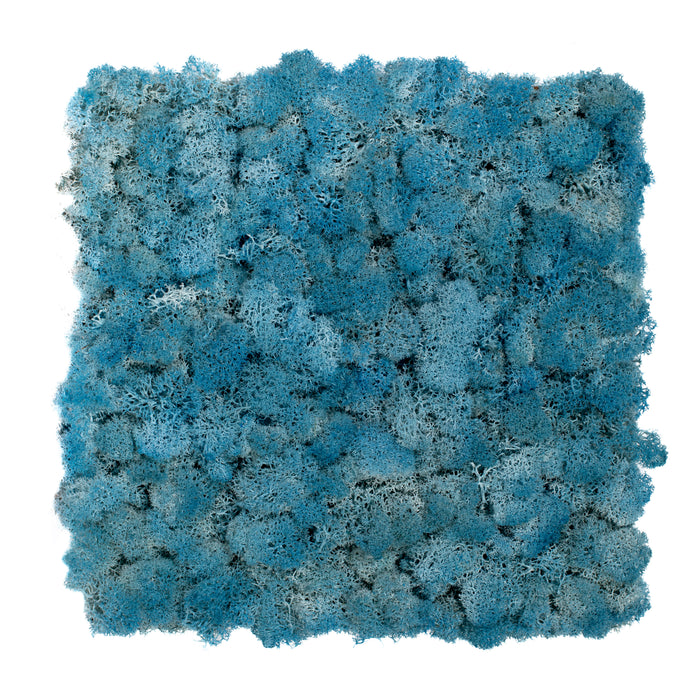 TXB-0719 Mousse – bleu ciel