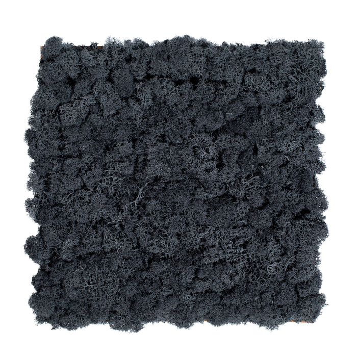 TXB-0801 Mousse – anthracite