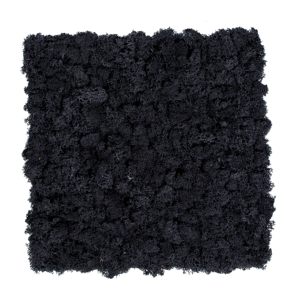 TXB-0802 Moos – Schwarz