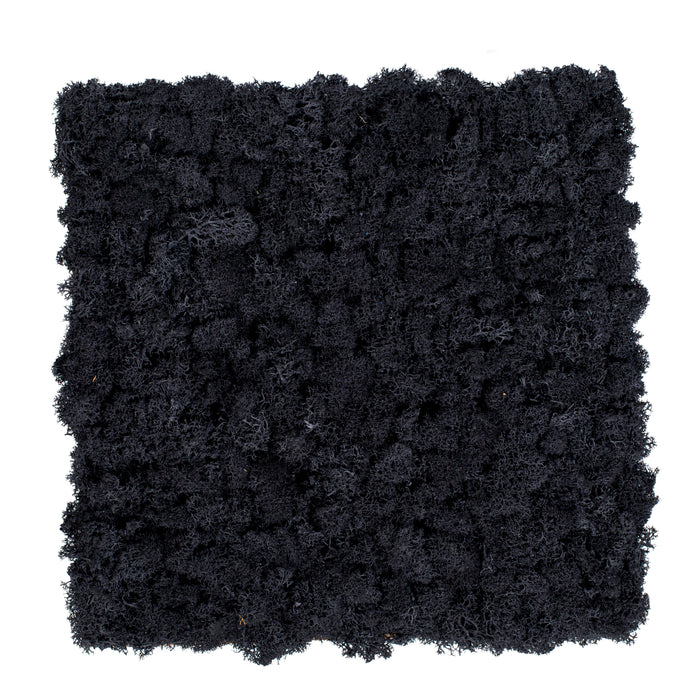 TXB-0802 Mousse – noir