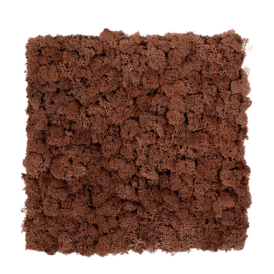 TXB-0803 Brown moss