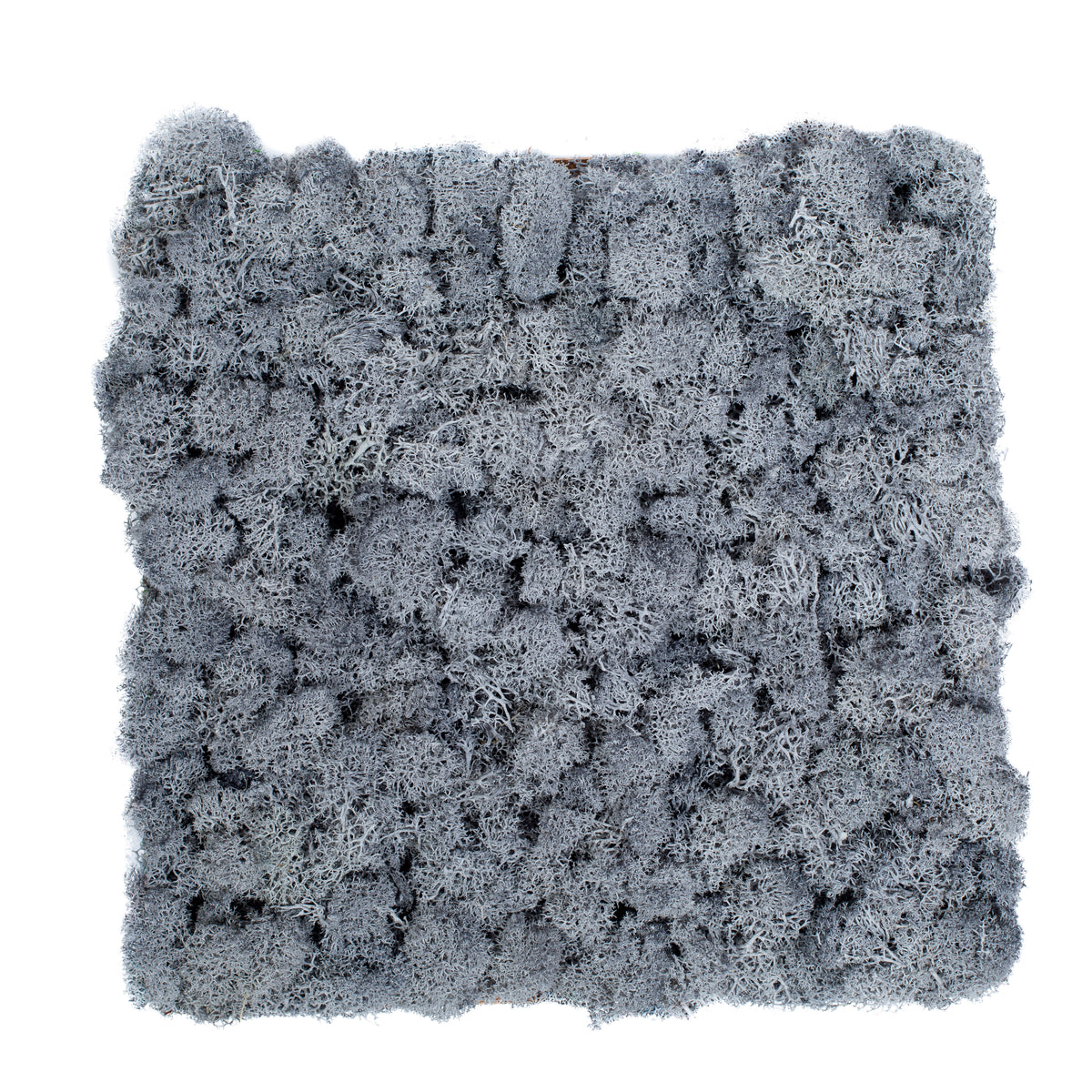 TXB-0812 Mousse – gris clair