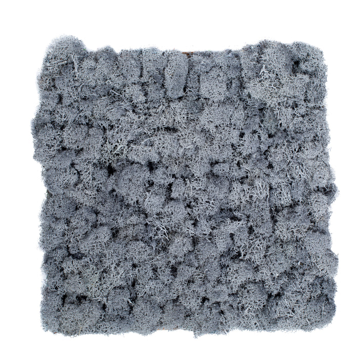 TXB-0812 Mousse – gris clair